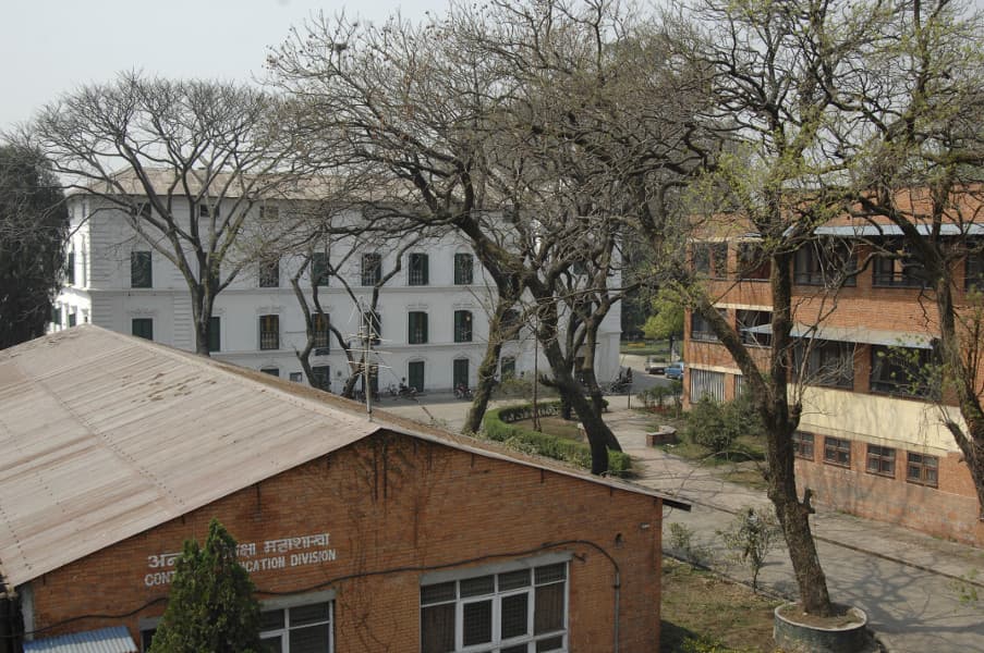 Pulchowk Campus campus